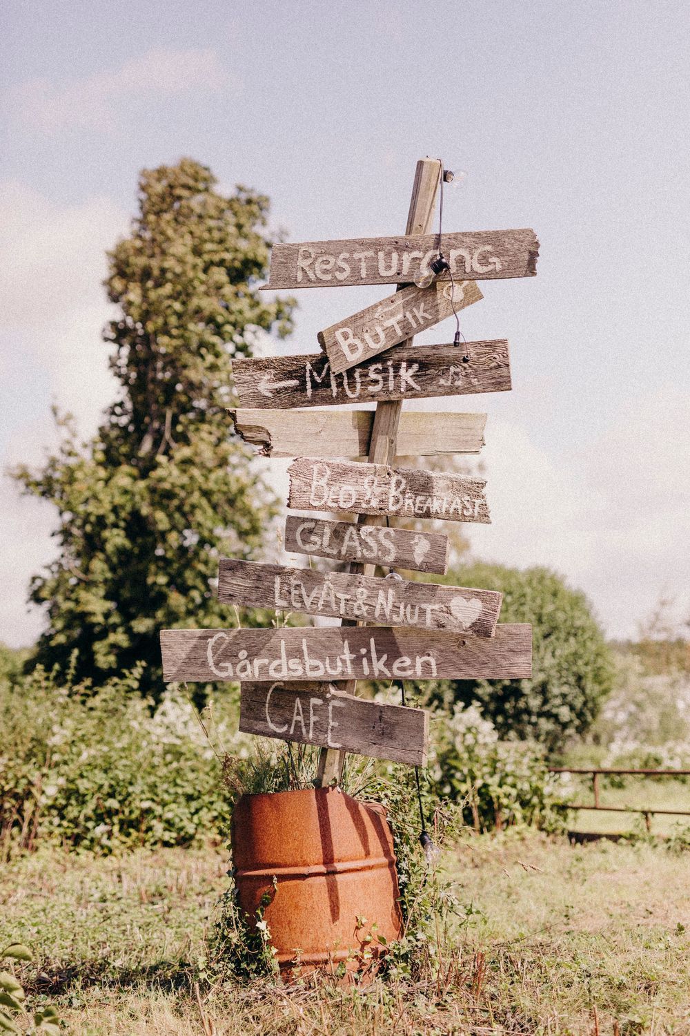 Rustic wooden directional signs mounted in terracotta pots create a charming outdoor display against a natural backdrop.