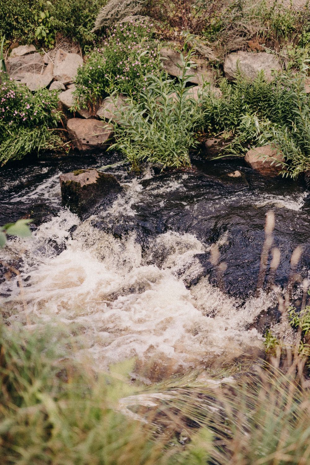 Rushing water flows through rocks creating white rapids surrounded by green vegetation and grass along the riverbank.