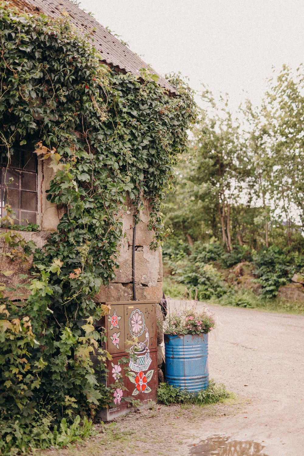 Ivy-covered rustic building exterior with graffiti and a blue barrel along a dirt path in a wooded setting.