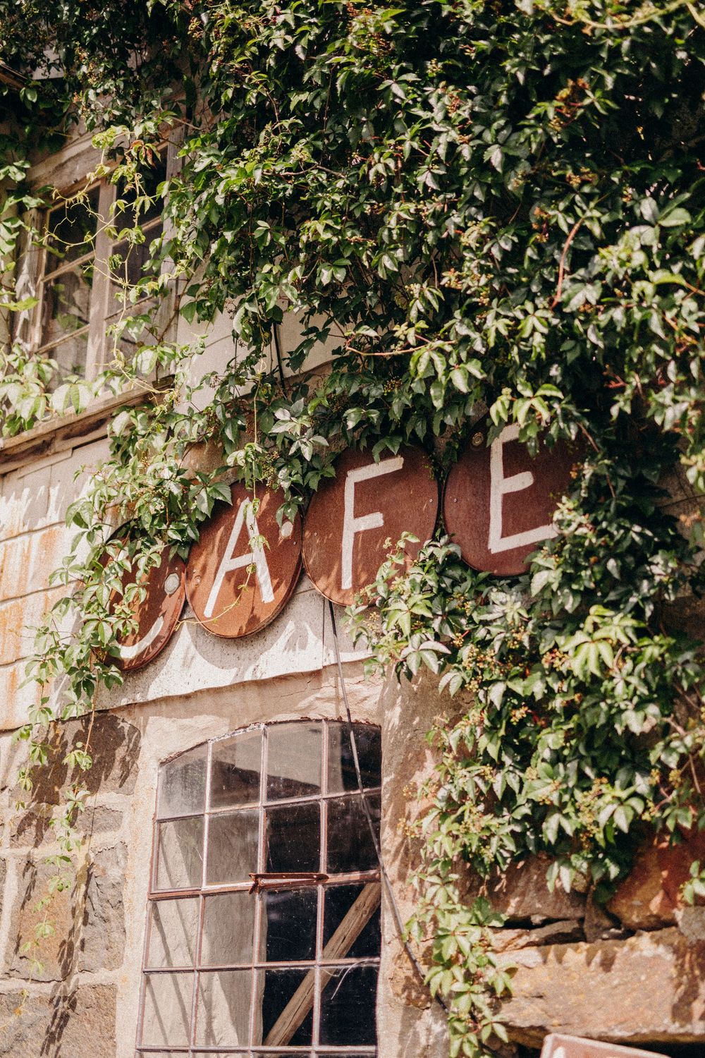 Old stone building exterior with wooden framed windows and lush green vines growing along the wall.