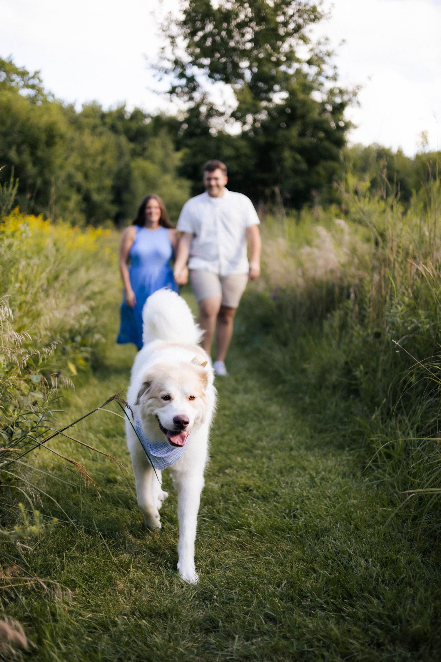 Summer outdoor golden hour engagement photos in Funks Grove, Illinois