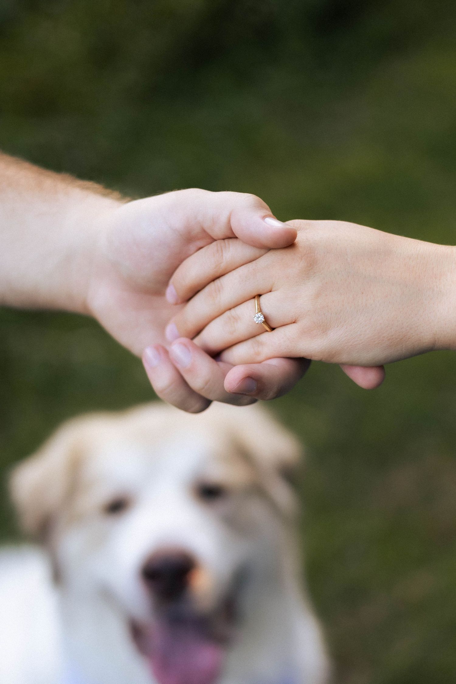 Summer outdoor golden hour engagement photos in Funks Grove, Illinois