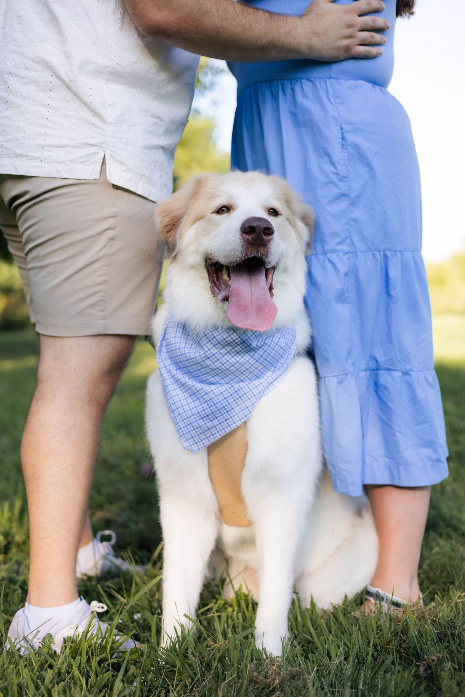 Summer outdoor golden hour engagement photos in Funks Grove, Illinois