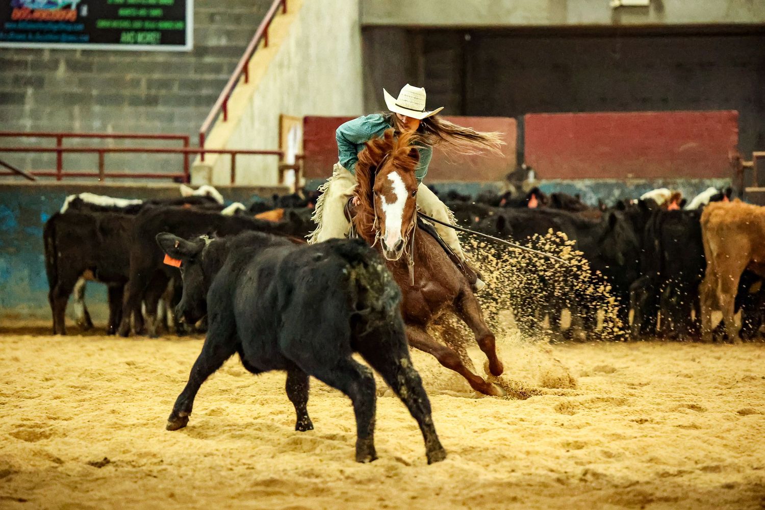Wedding Photographer, Equine Event Photographer, Second Shooter Photographer in East Tennessee, TN, near Chattanooga, TN and North GA area
