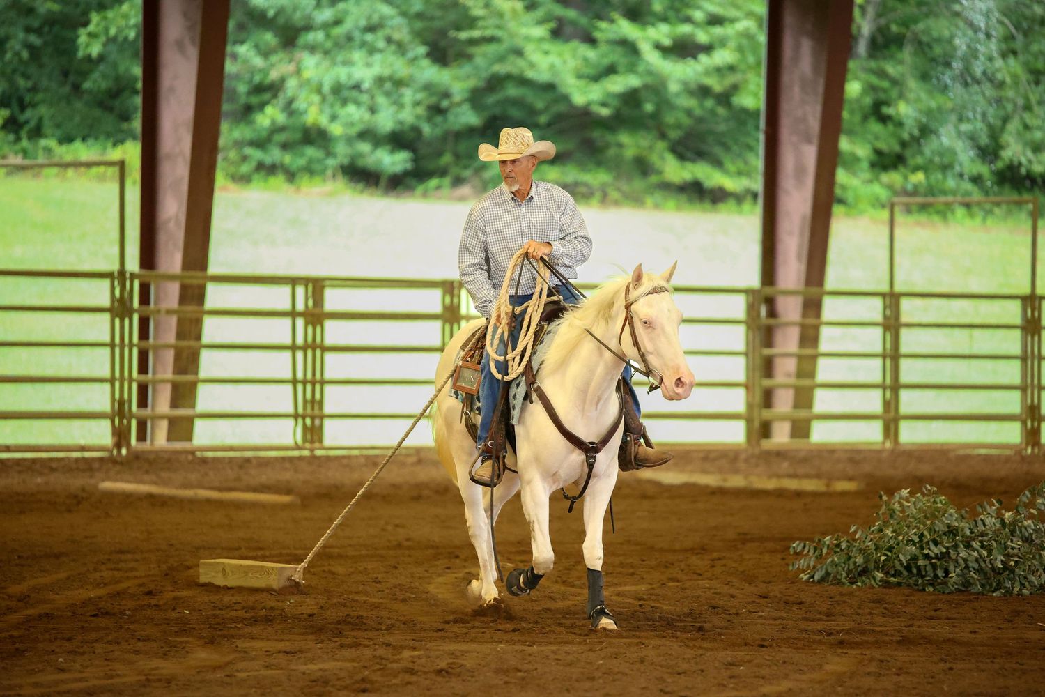 Wedding Photographer, Equine Event Photographer, Second Shooter Photographer in East Tennessee, TN, near Chattanooga, TN and North GA area