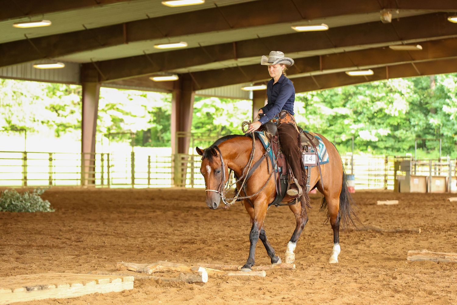 Wedding Photographer, Equine Event Photographer, Second Shooter Photographer in East Tennessee, TN, near Chattanooga, TN and North GA area