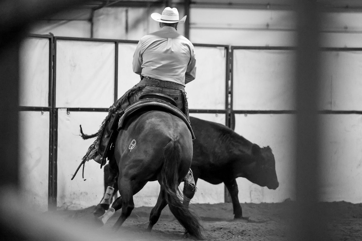 Wedding Photographer, Equine Event Photographer, Second Shooter Photographer in East Tennessee, TN, near Chattanooga, TN and North GA area