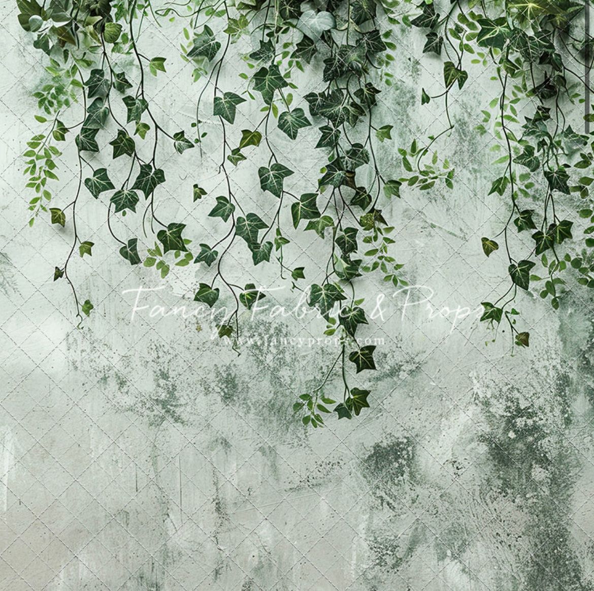 Cascading green ivy leaves drape elegantly against a textured white wall creating a natural border design.