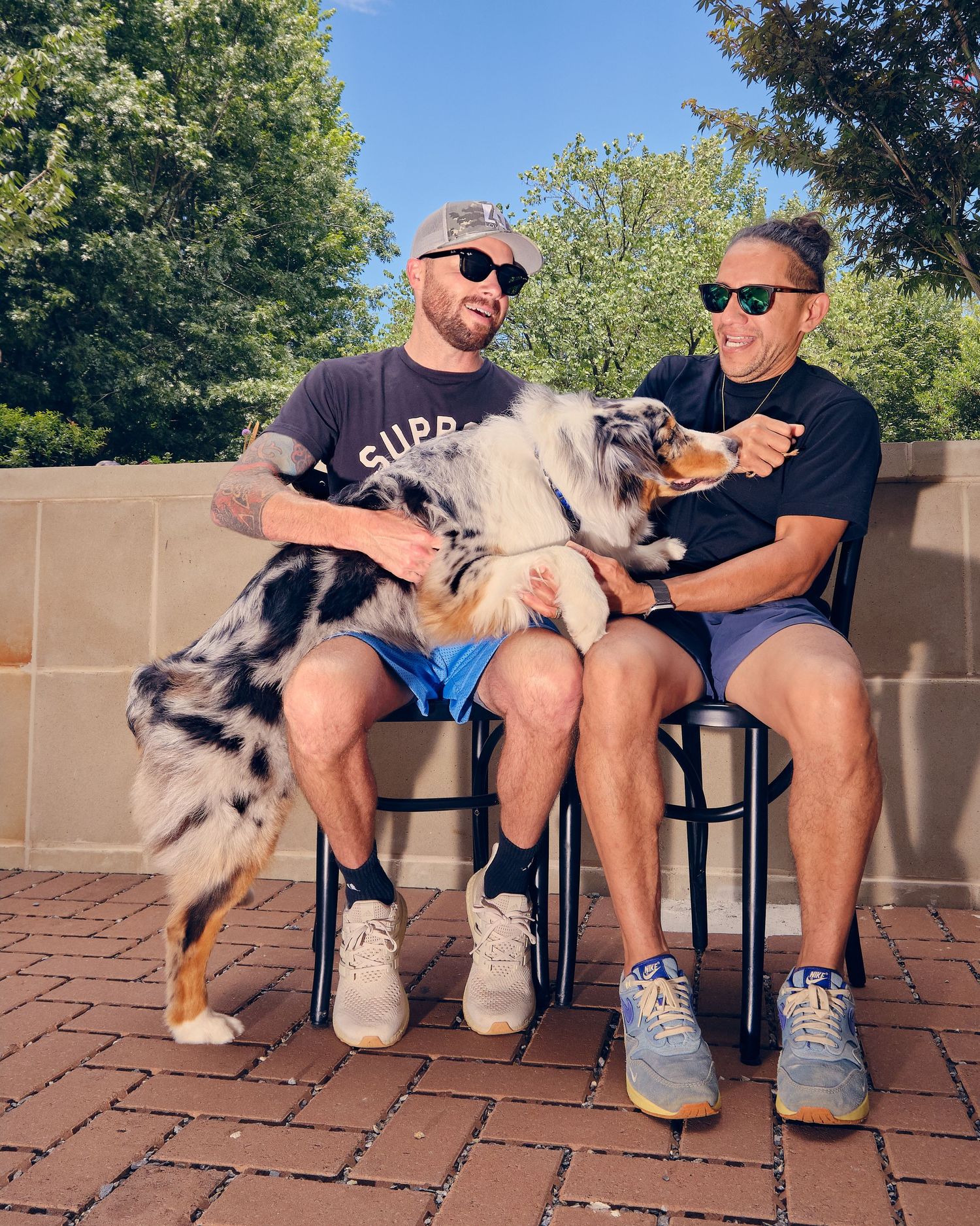 A sequence of photos showing a fluffy Australian Shepherd dog relaxing on a patio with someone in sunglasses.