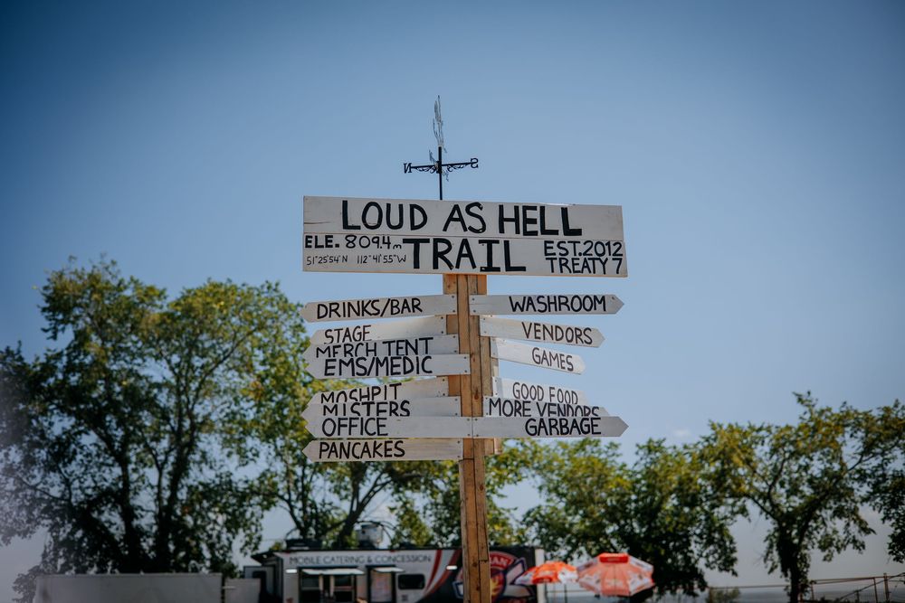 Homemade wooden directional signs in a garden display humorous sayings and festival messages.