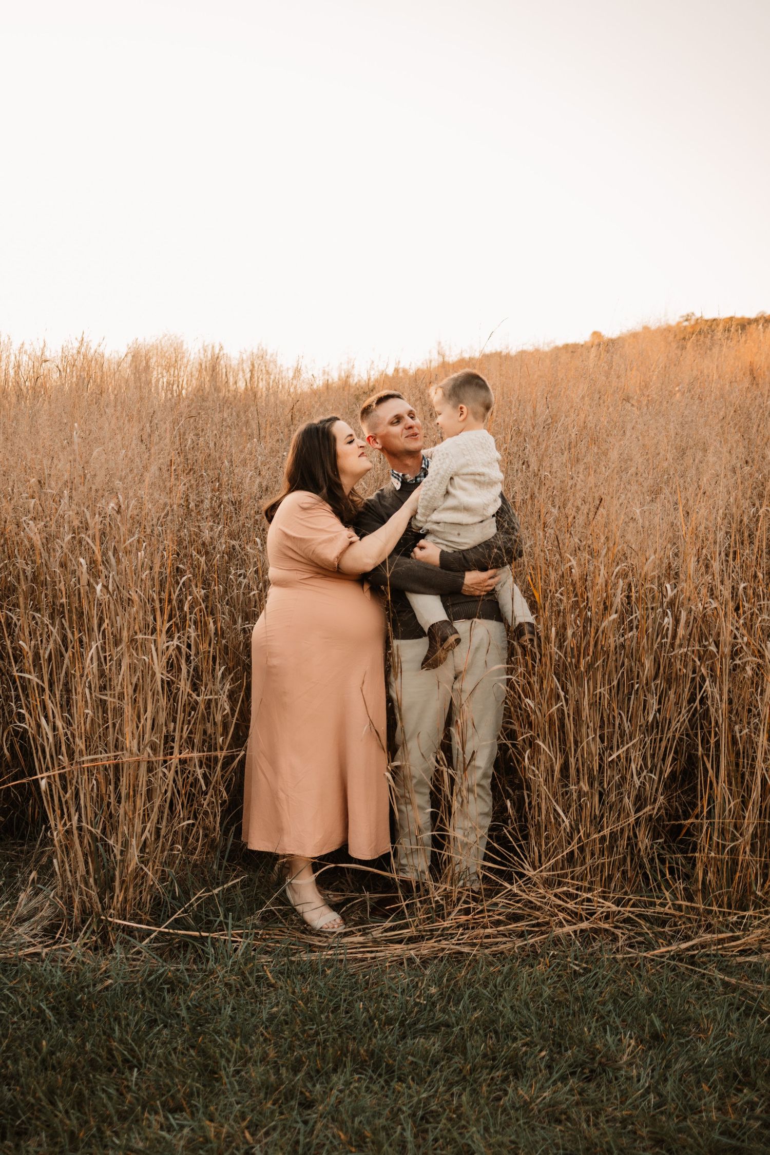 Loving family moment as pregnant mother kisses toddler held by father in golden wheat field at sunset.