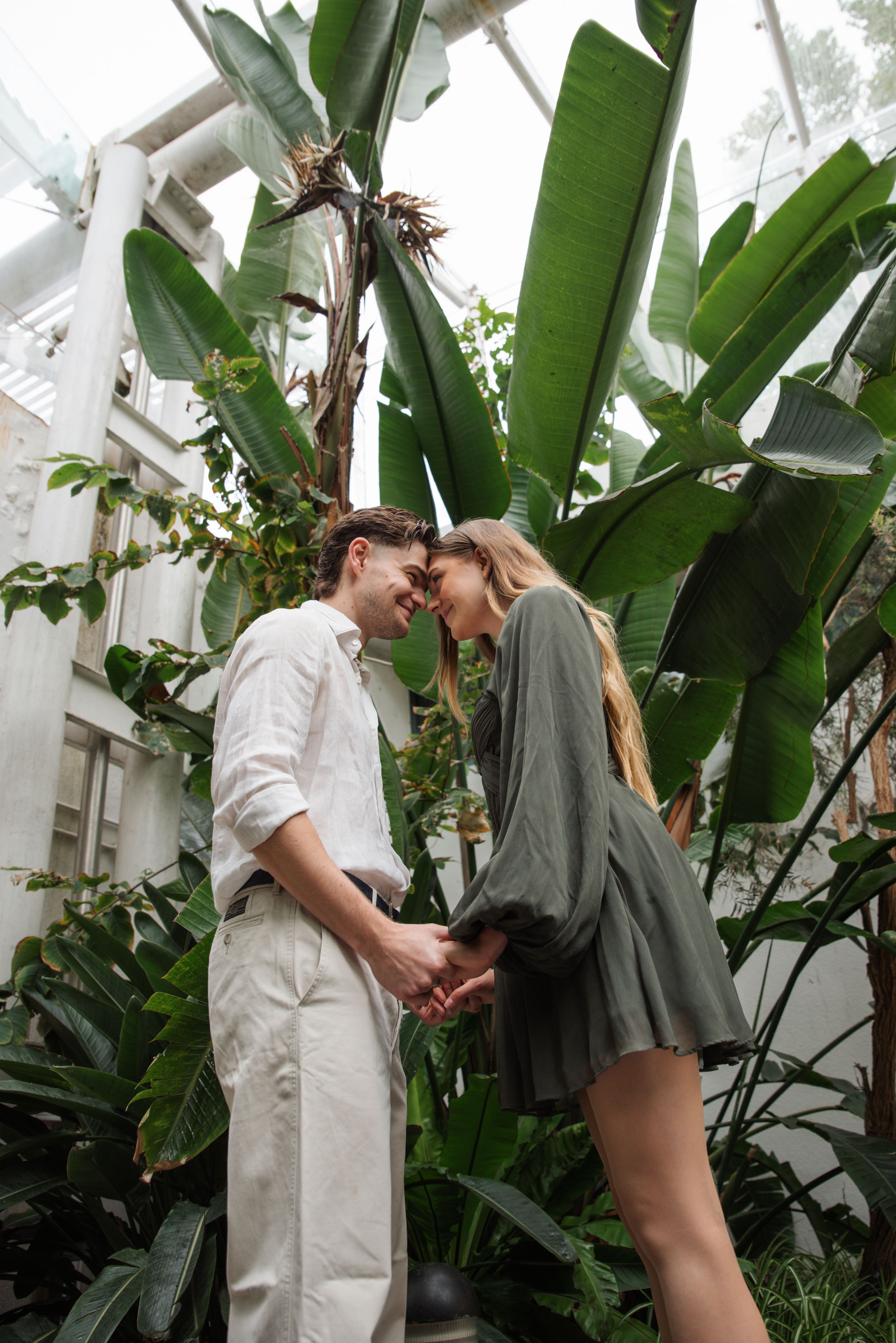Romantic couple holding hands and touching foreheads in a lush tropical greenhouse with large green plants.