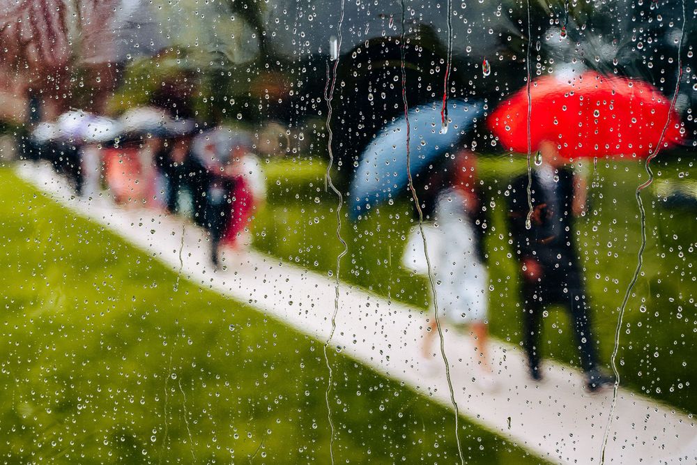 Wedding guests walk with colorful umbrellas on a rainy day, viewed through a rain-streaked window at an outdoor venue.