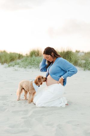 Pregnant woman in blue sweater kneeling on beach sand with a fluffy golden doodle puppy nuzzling her baby bump.