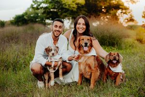 Six outdoor portrait photos in a field show couples sitting together with their golden retriever dogs at sunset.