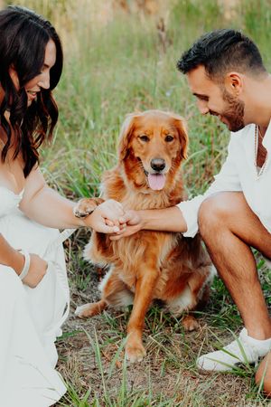 A Golden Retriever dog interacts with people in white outfits while sitting in a grassy outdoor setting.