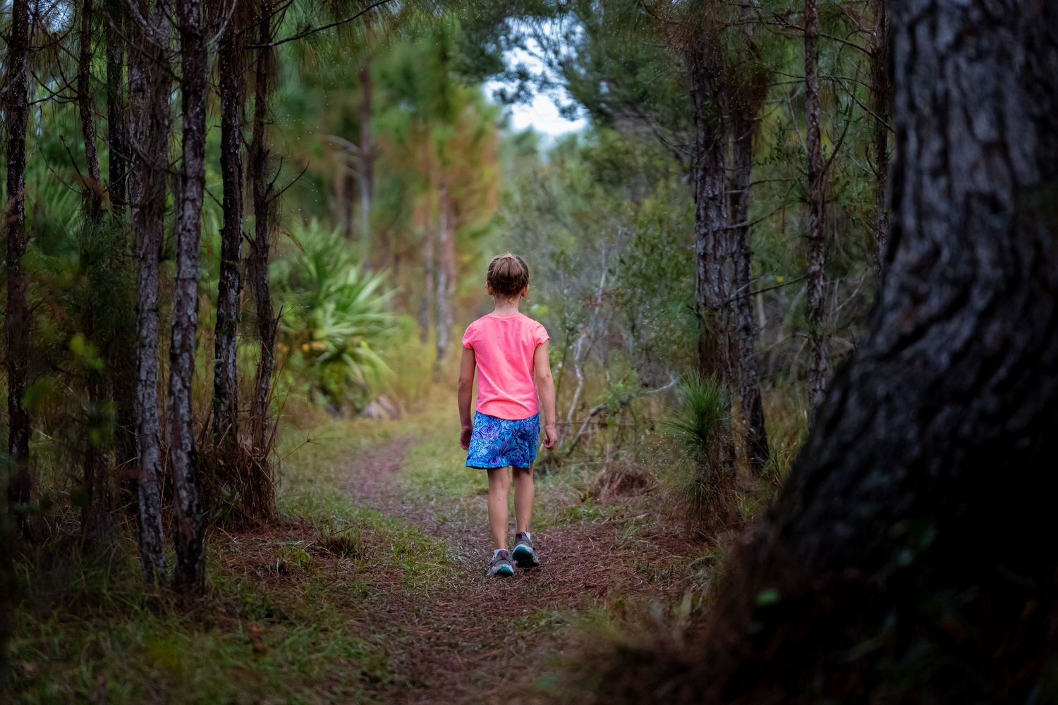 Person in coral shirt walking alone on forest trail path.