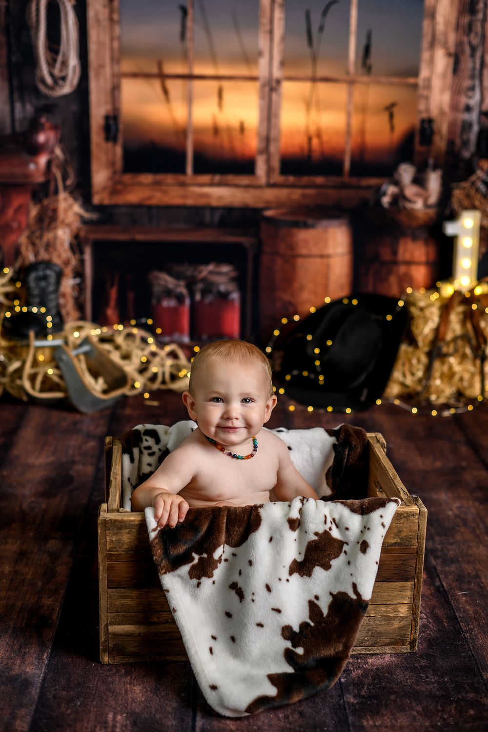 Lafayette Indiana photographer, Delphi Indiana photographer, family photographer. family photos, one year photos