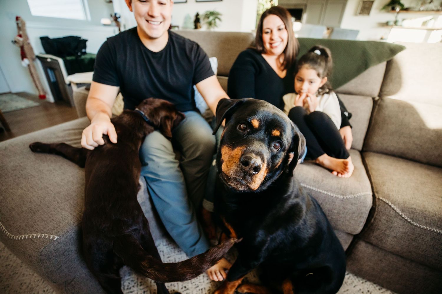 Mom, dad, little girl, and two dogs sitting on their couch in Dickson, TN