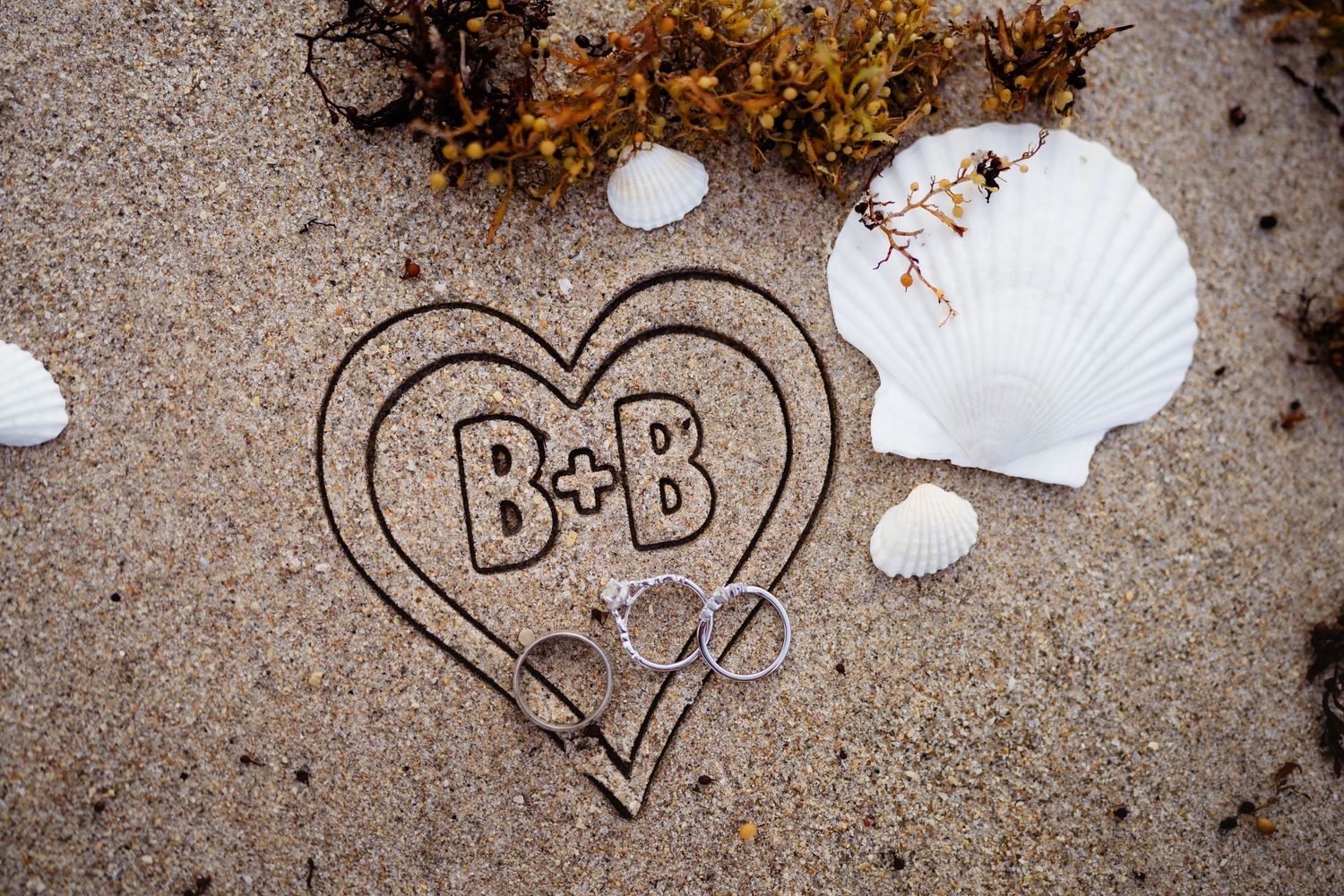 Heart shape drawn in sand with initials B+B, wedding rings, seashells, and seaweed on a beach.