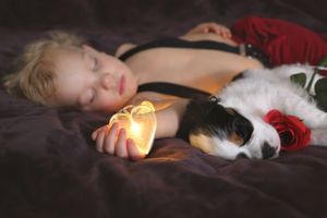 Sleeping child holds a glowing glass heart beside a black and white puppy and red rose on a deep purple blanket.