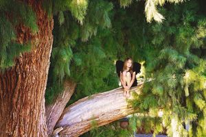 Girl with black angel wings sits on a large tree branch among green evergreen foliage in sunlight.
