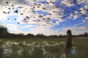 Woman stands in shallow marsh water gazing up at a flock of birds flying beneath a dramatic cloudy blue sky.