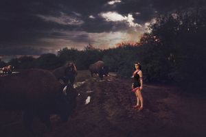 Woman in dark clothing stands on a muddy field beside large bison under a dramatic stormy sky at dusk, with trees in the background.