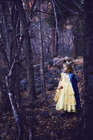 Young girl in a yellow princess gown and blue cape holds a red rose while standing in a dark, enchanted autumn forest.