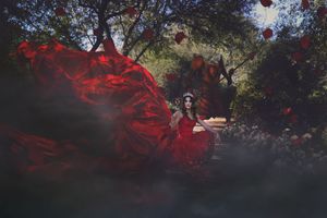Woman in a flowing red gown and crown sits in a misty garden as the dress billows across the dark foreground.