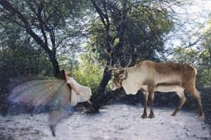 Fairy with iridescent wings reclines in a snowy forest as a reindeer stands before her among bare trees and falling snow.