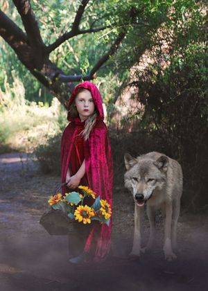 Young girl in a red velvet cloak holds a basket of sunflowers beside a gray wolf in a sunlit forest.