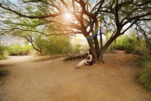 Woman with long dark hair sits against the trunk of a large desert tree as bright sunlight streams through its branches over a dirt trail.