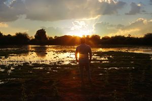 Silhouette of a man standing in a shallow wetland at sunset, facing a glowing sun with orange clouds reflecting on the water.