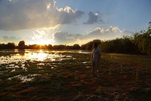A person stands in a flooded wetland field at sunset as golden light reflects off the shallow water under a cloudy sky.