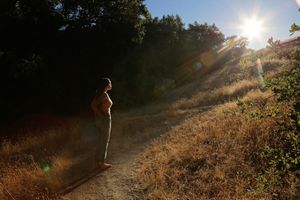 Silhouetted figure stands on a dry grassy hillside trail as bright sunlight streams through the trees at golden hour.