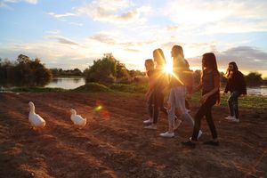Group of girls walking across a dirt field at sunset beside two white ducks near a calm lake.