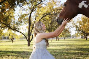 Woman in a gray tulle gown gently touches the face of a brown and white horse beneath autumn trees in a sunny field.