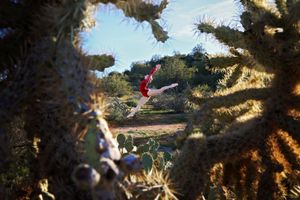 Ballet dancer in red leaps mid-air framed by spiky cholla cactus branches in a bright desert setting.
