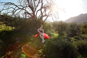 Dancer in a red dress sits on green grass beneath a bare tree as bright sun flares over the mountains.