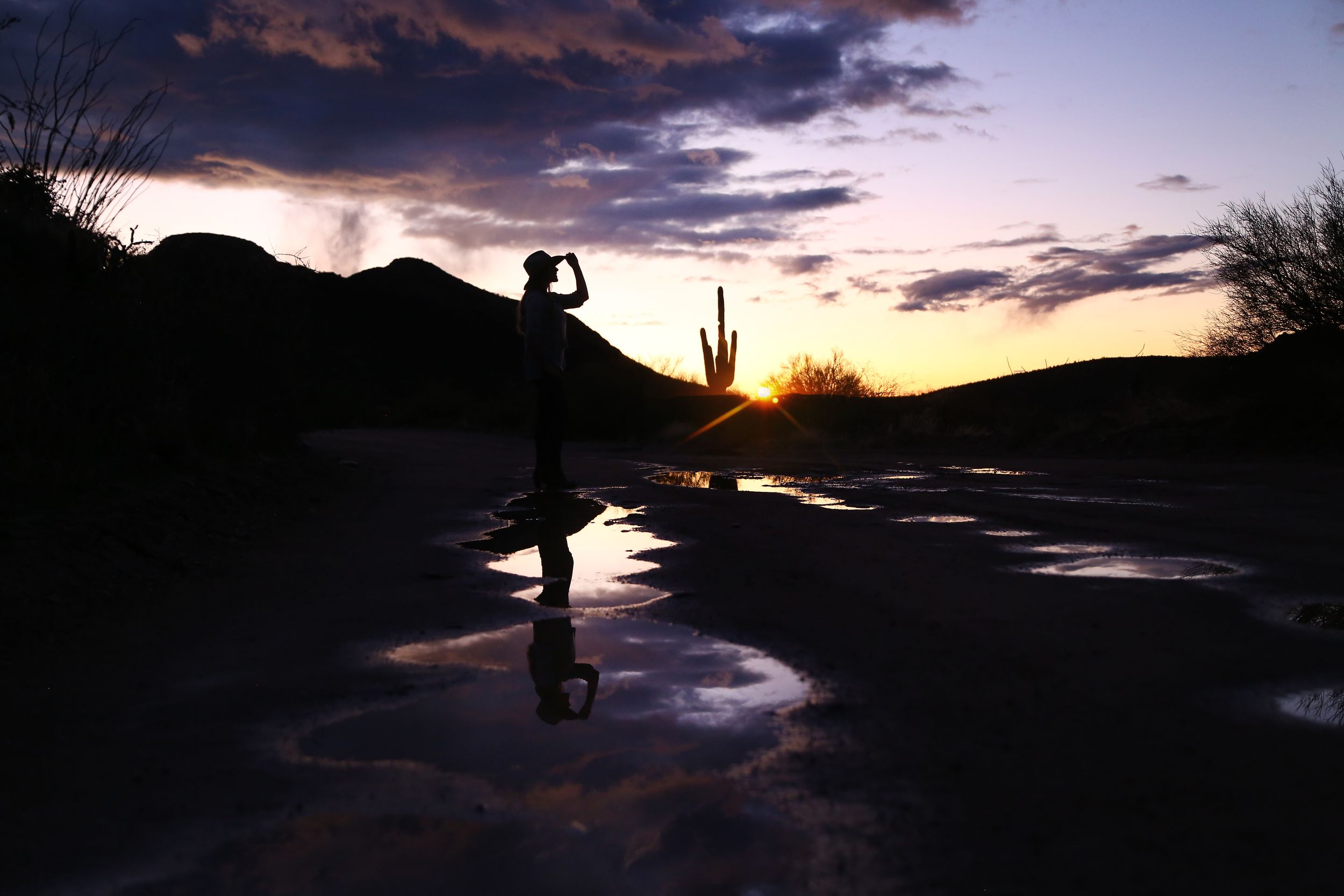 Silhouette of a person drinking from a bottle beside rain puddles at sunset with a saguaro cactus and desert mountains behind.