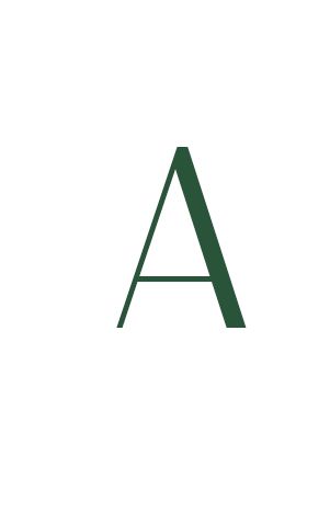 Dark green capital letter A in a clean serif font on a white background.