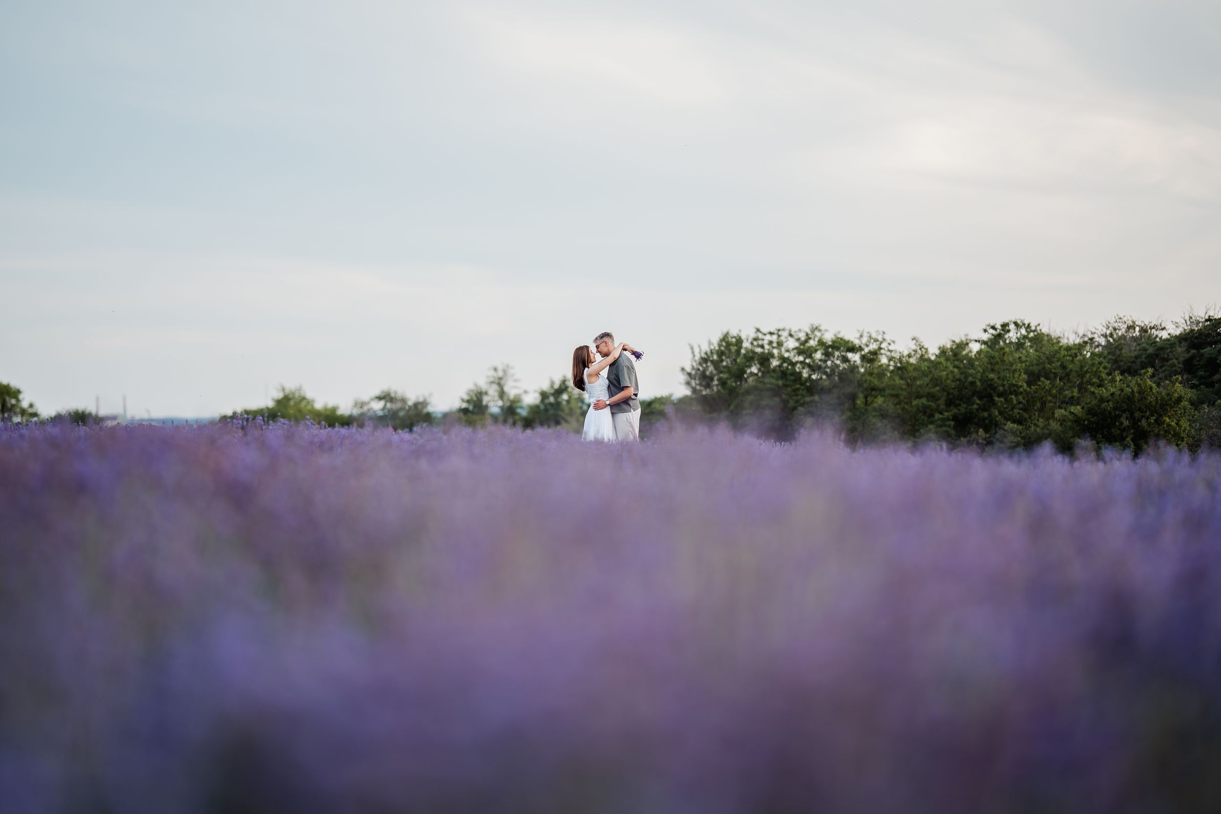 Couple embracing in a vast lavender field with purple blooms stretching to the horizon under a soft sky.
