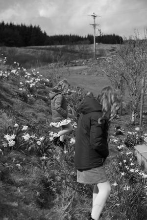 family photography