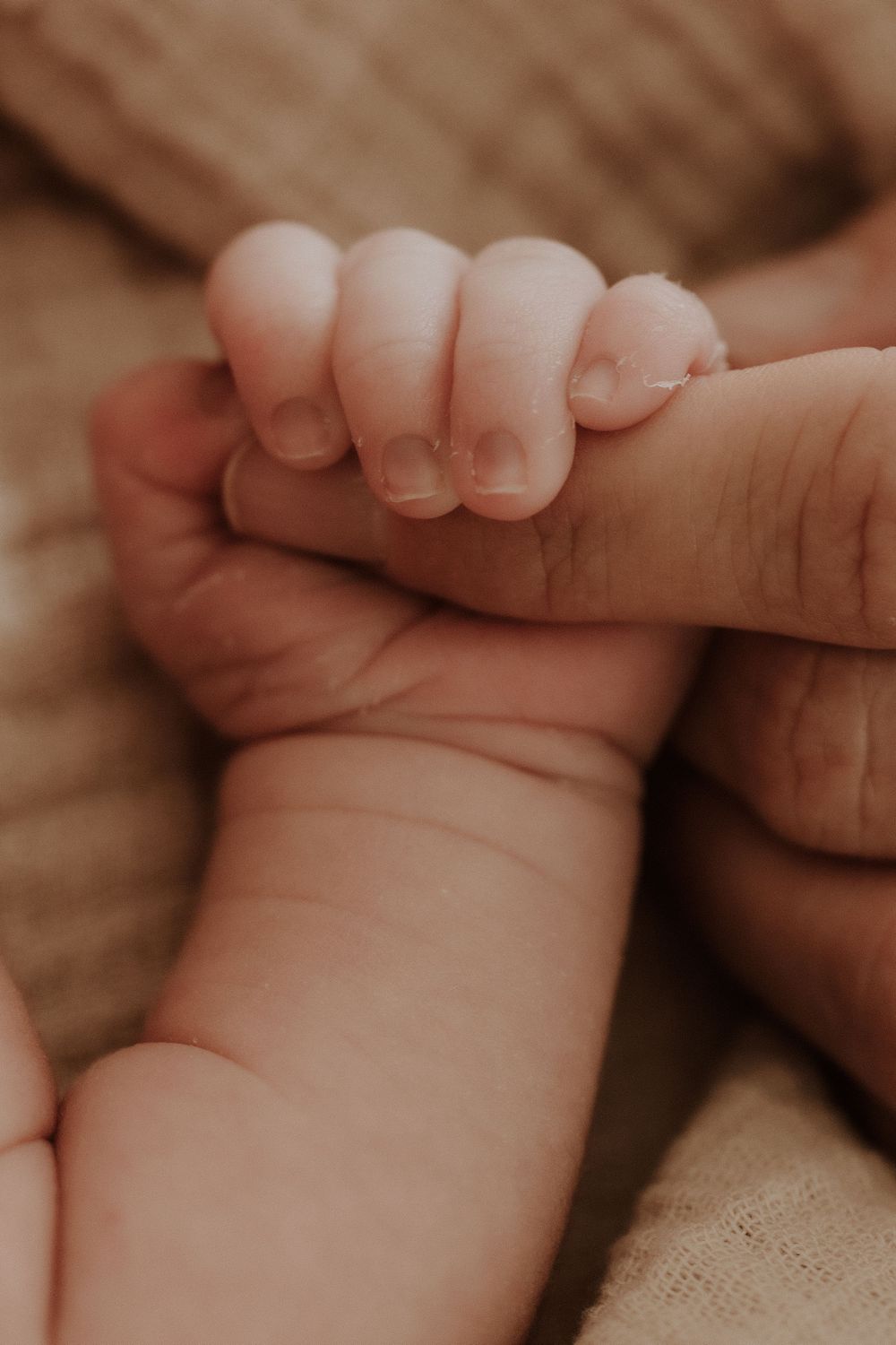 A newborn baby's tiny hand gently gripping an adult's finger, symbolizing new life and parental bond.