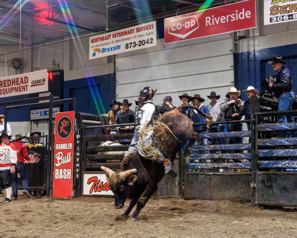 Bull rider competing at the Rambler Bull Bash indoor rodeo arena event.