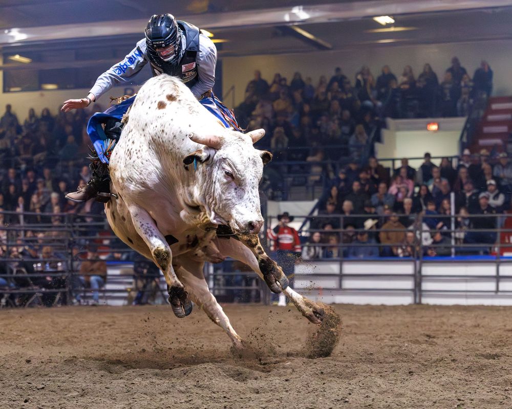 Bull rider in blue gear holding on during intense bull riding competition indoors.