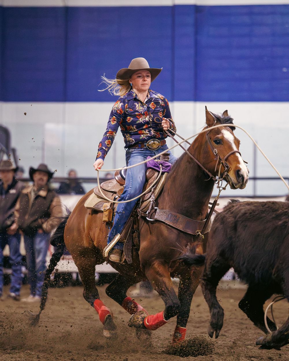 Young cowgirl on chestnut horse chases cattle during team roping at indoor rodeo.