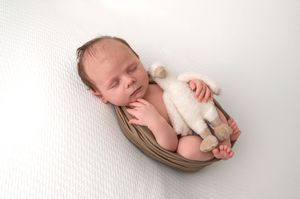 Newborn baby sleeping in a wrapped nest holding a tiny stuffed animal toy on a white background.