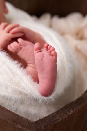 Close-up of tiny newborn baby feet wrapped in a soft white fuzzy blanket inside a wooden bowl.
